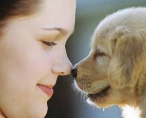 pets