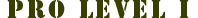 Pro Level I